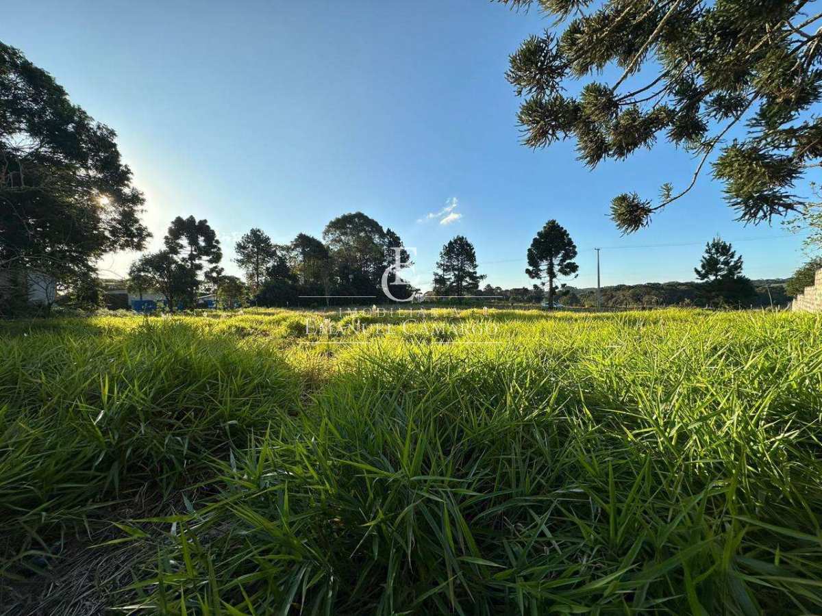 Área à venda em Piraquara, Águas Claras, 1800m²