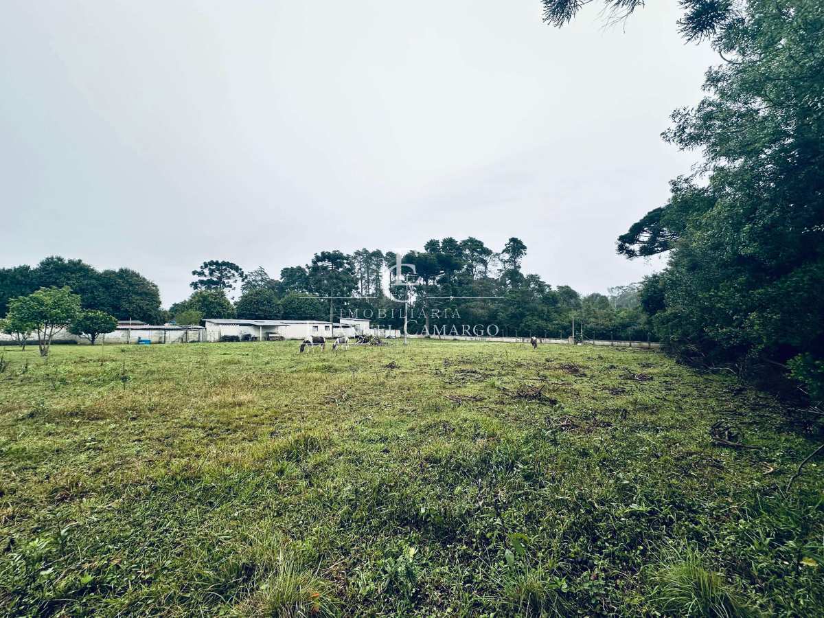 ÁREA PARCELADA Á VENDA EM PIRAQUARA- BORDA DO CAMPO - Emanuel Camargo - Há mais de 20 anos no Mercado Imobiliário CNPJ 55.103.630/0001-83