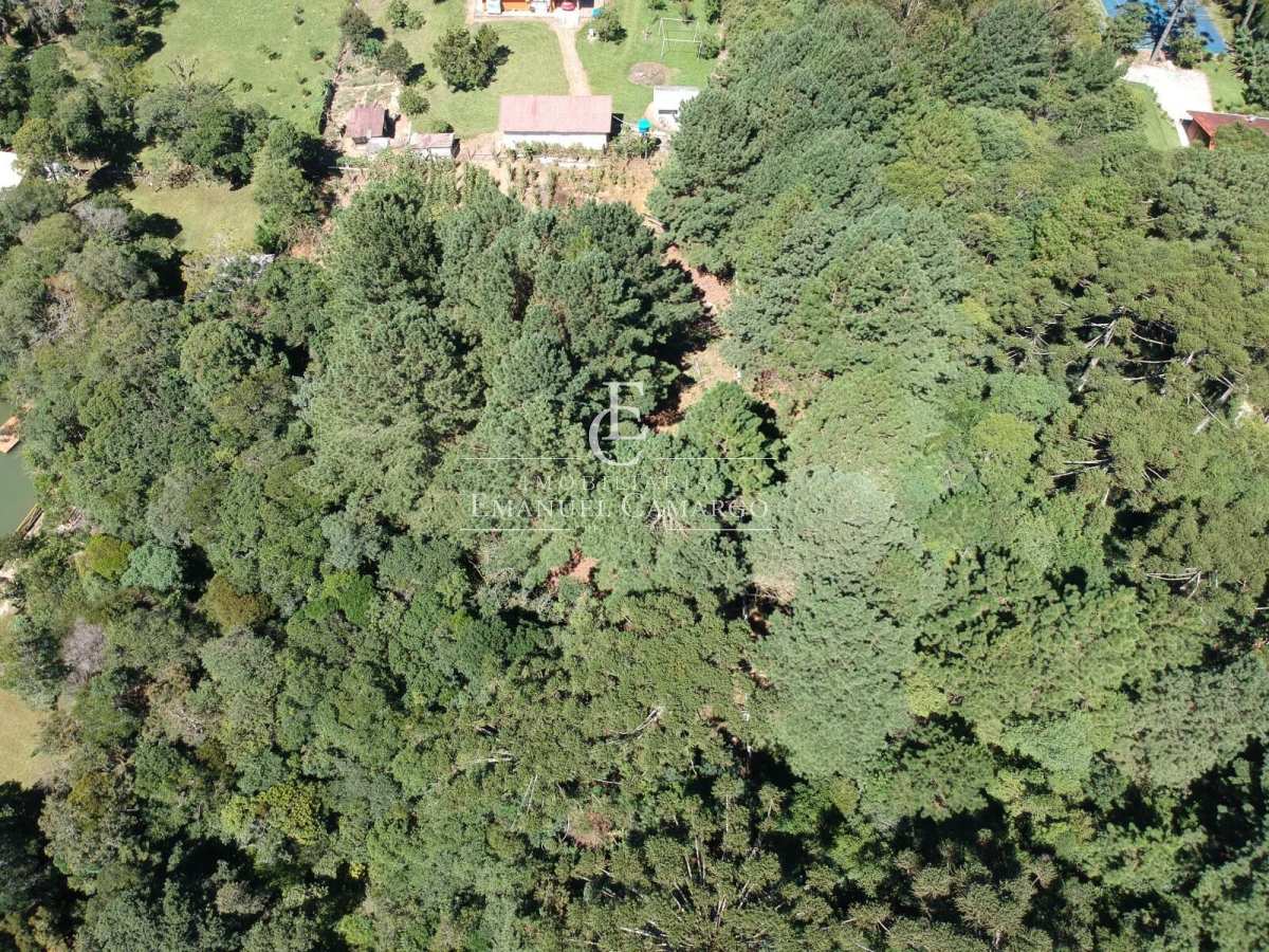 Área à venda em Piraquara, Granjas Eldorado, 5000m² - Emanuel Camargo - Há mais de 20 anos no Mercado Imobiliário CNPJ 55.103.630/0001-83