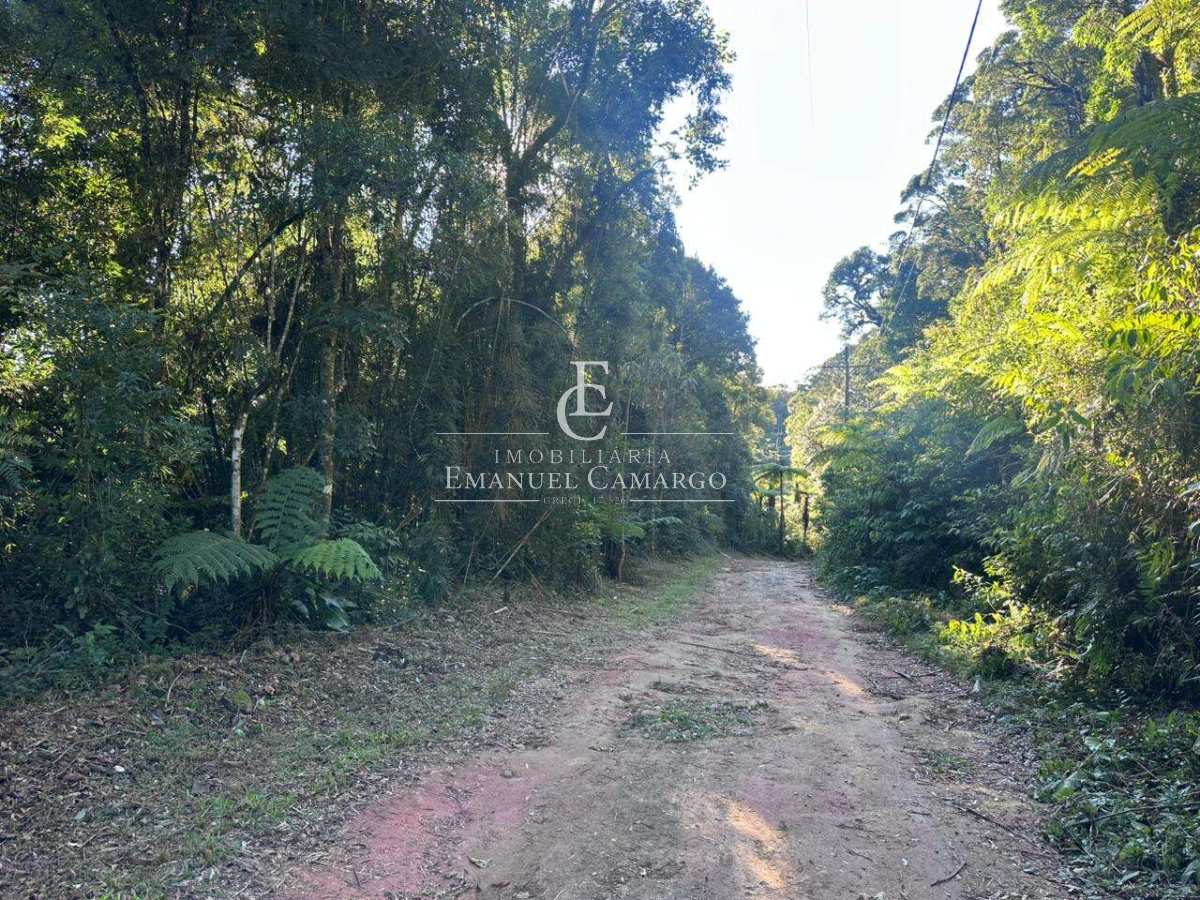 Área à venda em Piraquara, Recreio da Serra, 6200m² - Emanuel Camargo - Há mais de 20 anos no Mercado Imobiliário CNPJ 55.103.630/0001-83