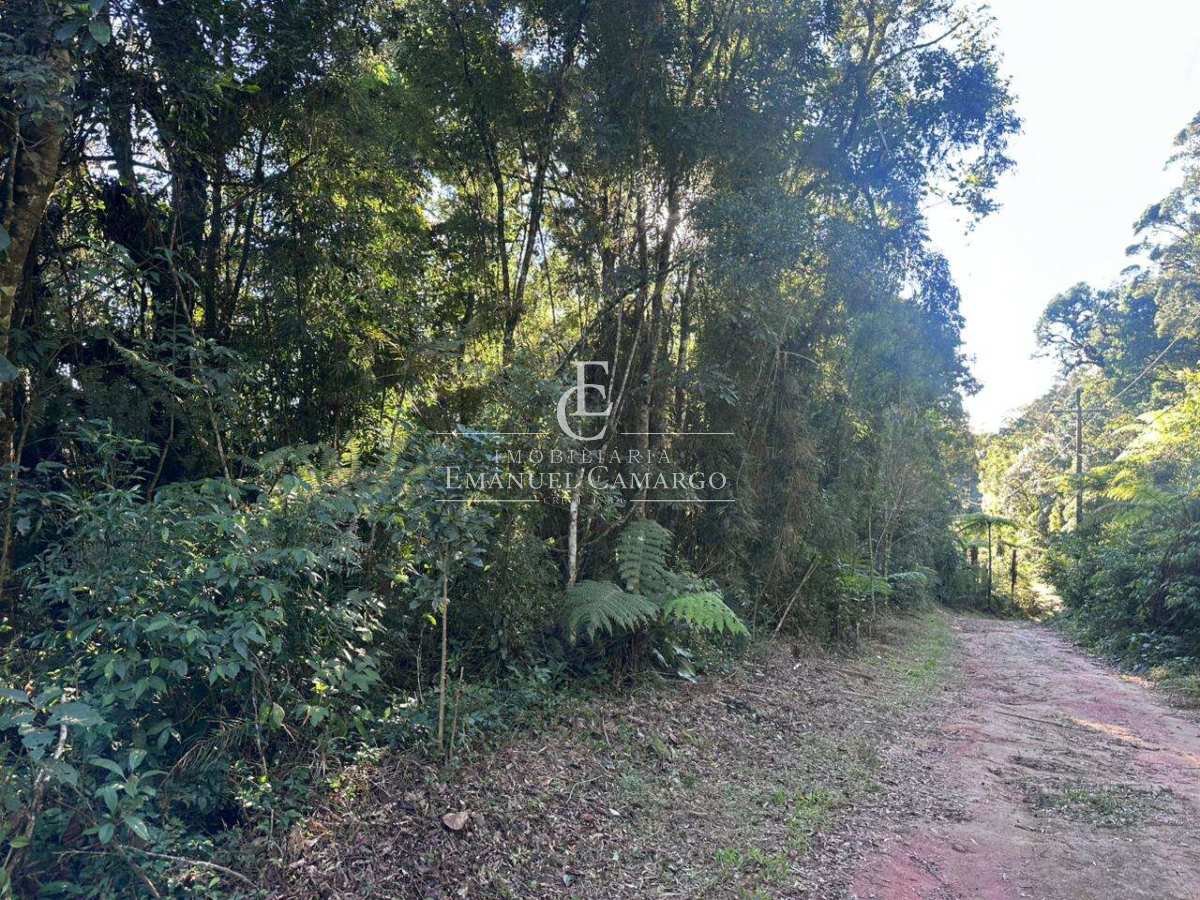 Área à venda em Piraquara, Recreio da Serra, 6200m² - Emanuel Camargo - Há mais de 20 anos no Mercado Imobiliário CNPJ 55.103.630/0001-83