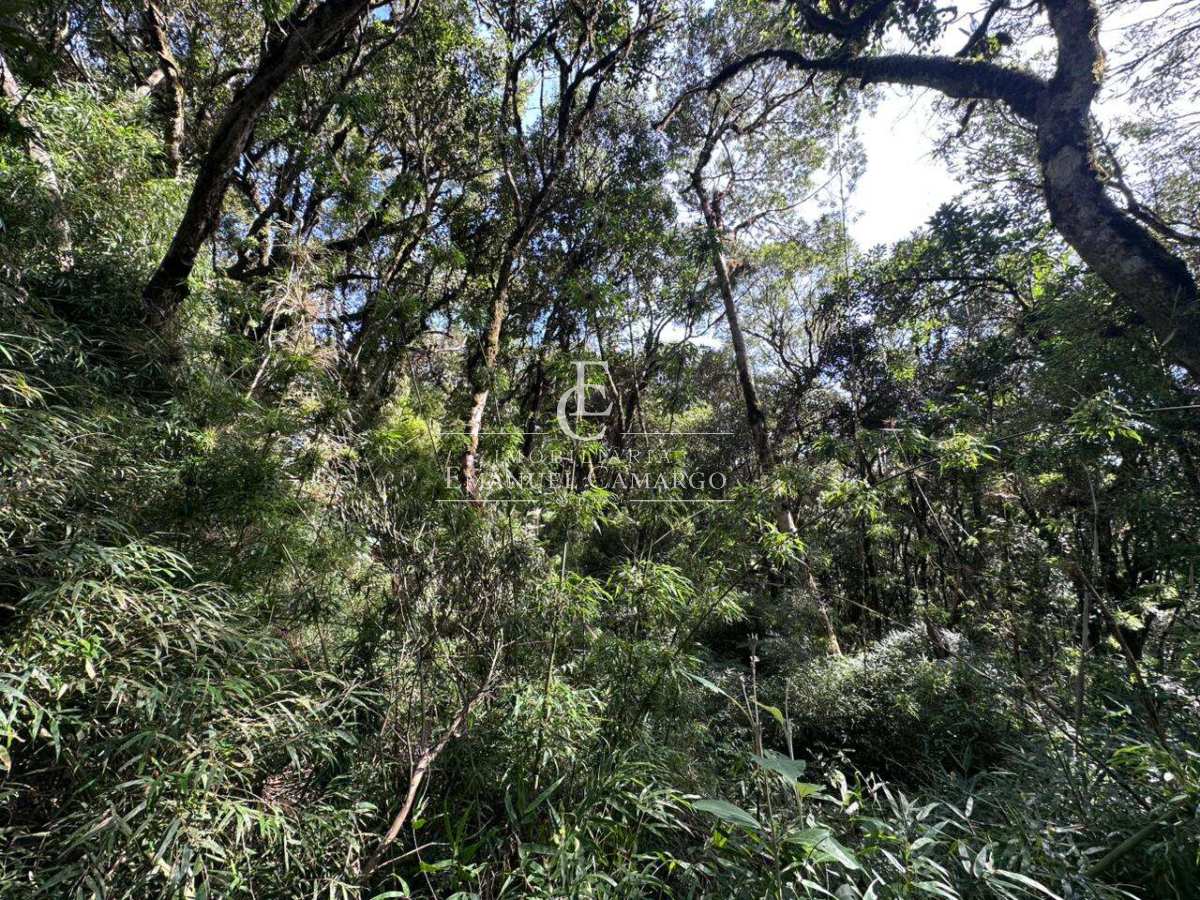 Área à venda em Piraquara, Recreio da Serra, 9800m² - Emanuel Camargo - Há mais de 20 anos no Mercado Imobiliário CNPJ 55.103.630/0001-83
