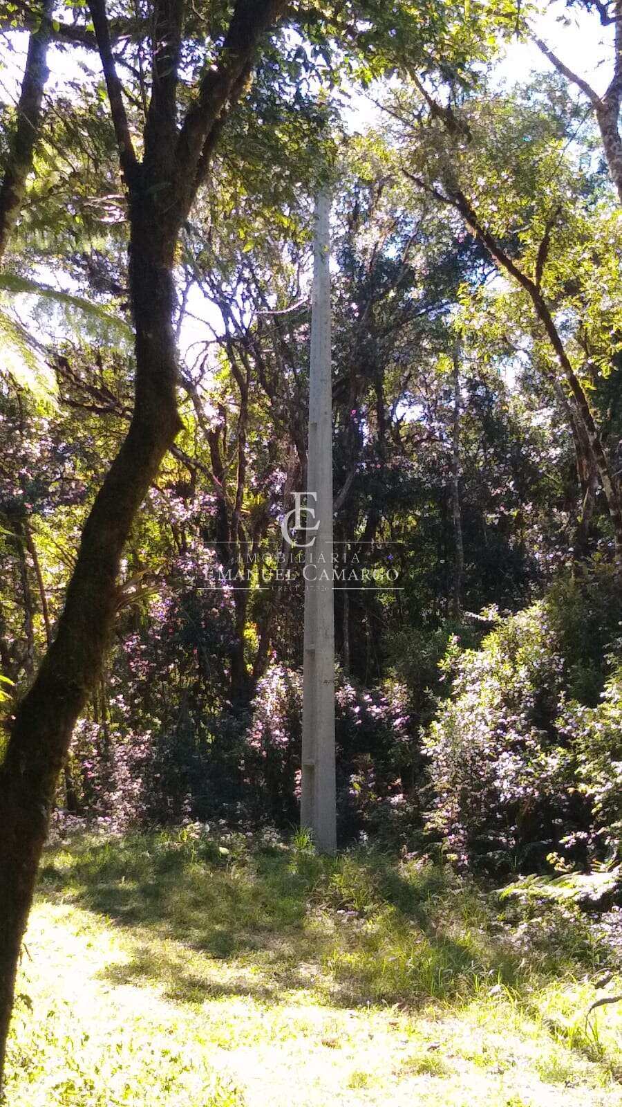 Área à venda em Piraquara, Recreio da Serra, 6.993,62m² - Emanuel Camargo - Há mais de 20 anos no Mercado Imobiliário CNPJ 55.103.630/0001-83