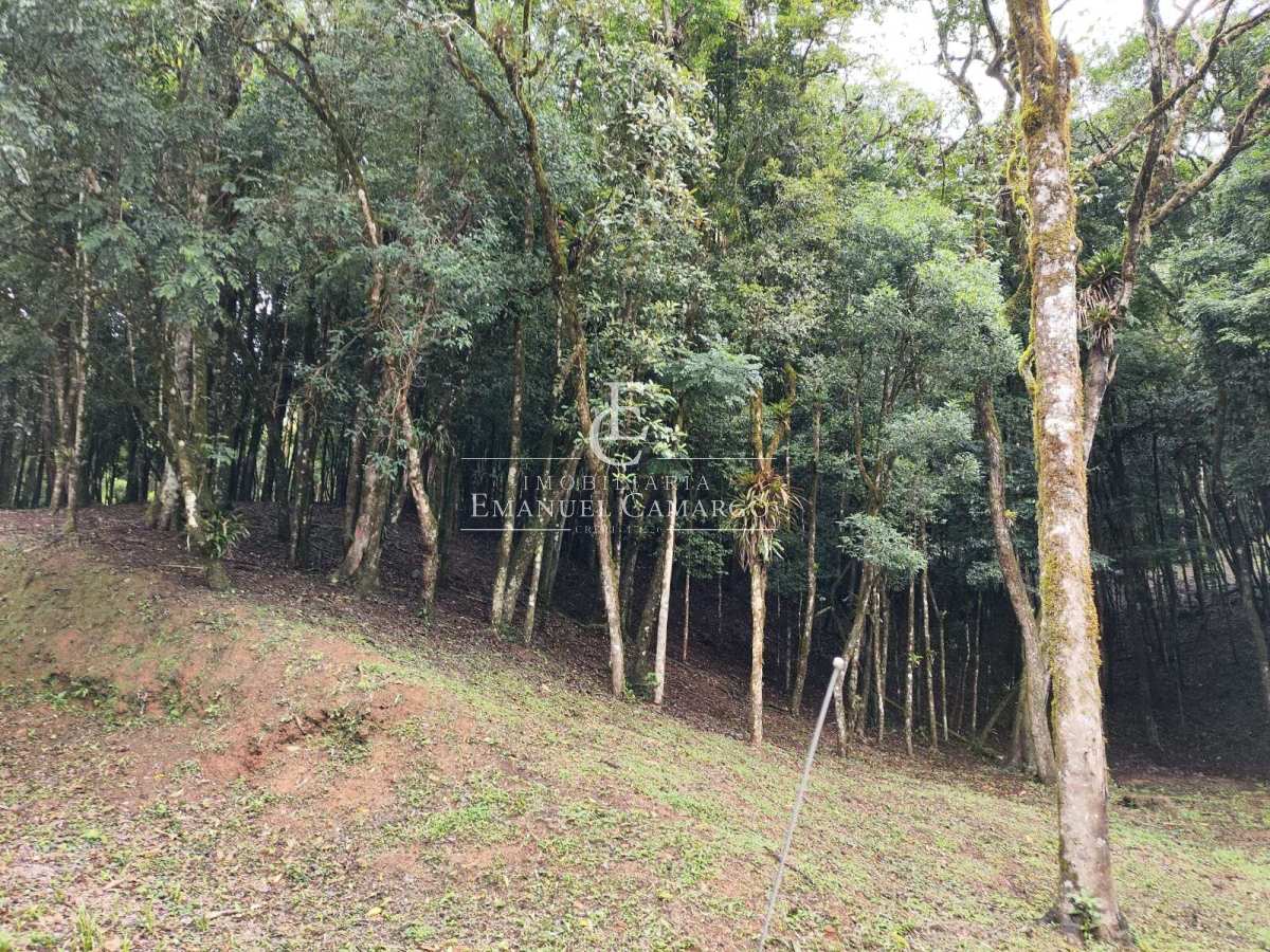 Área à venda em Piraquara, Recreio da Serra, 6.993,62m²