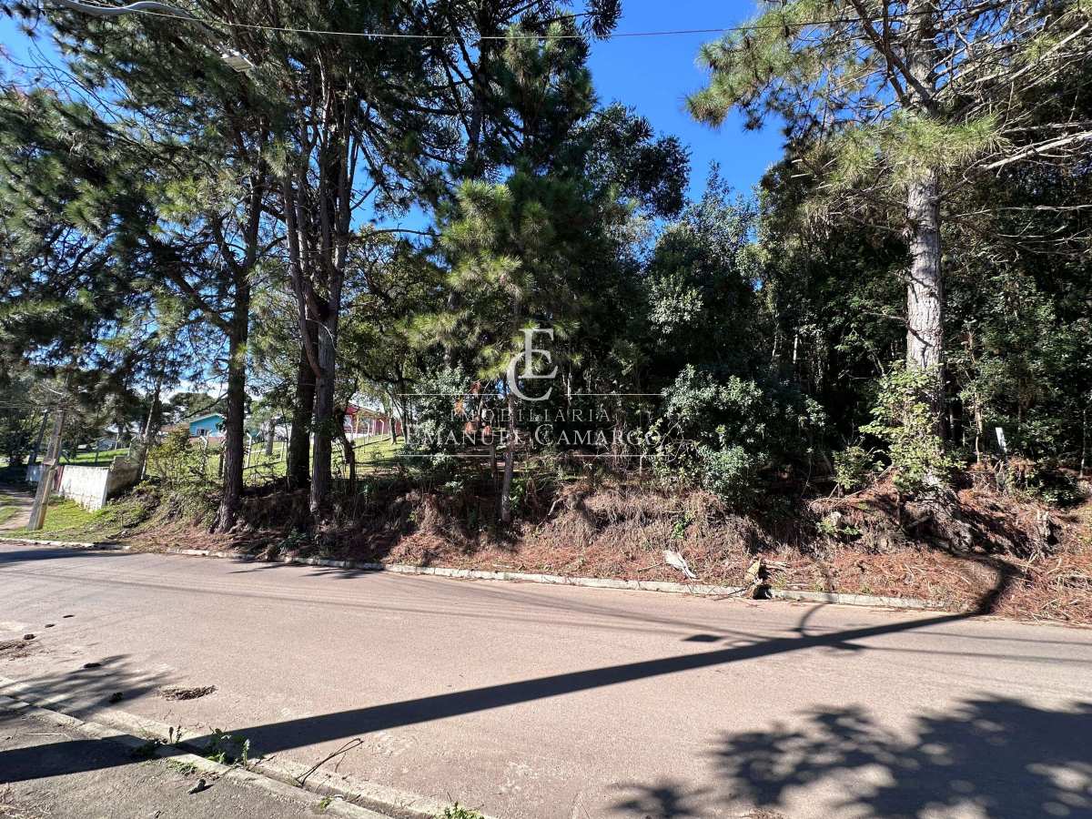 Área à venda em Piraquara, Vila Fuck, 3076m² - Emanuel Camargo - Há mais de 20 anos no Mercado Imobiliário CNPJ 55.103.630/0001-83