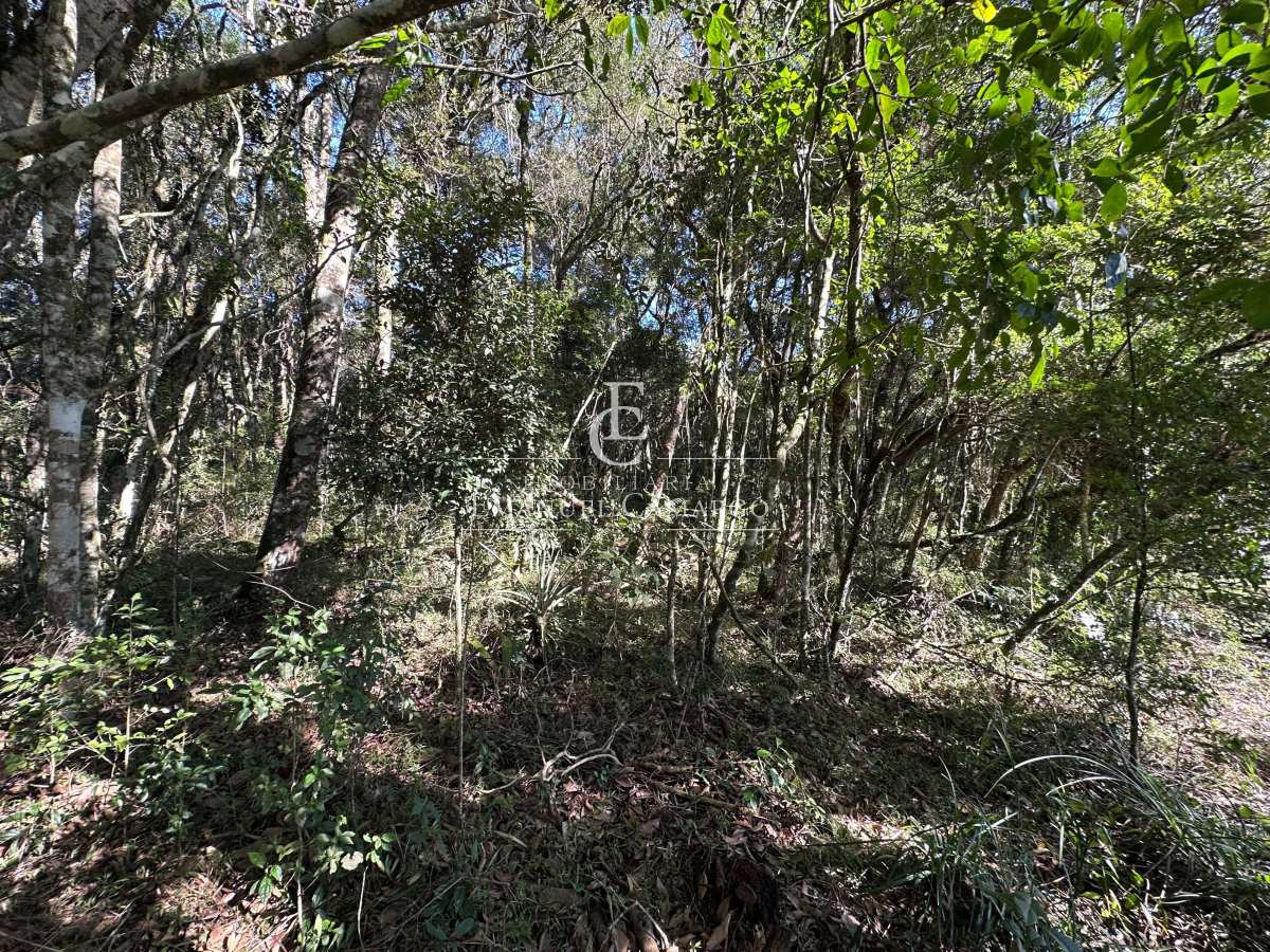 Área à venda em Piraquara, Vila Fuck, 3076m² - Emanuel Camargo - Há mais de 20 anos no Mercado Imobiliário CNPJ 55.103.630/0001-83