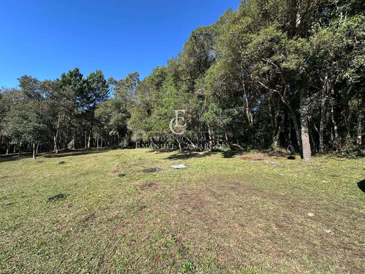 Área à venda em Piraquara, Vila Fuck, 3076m²