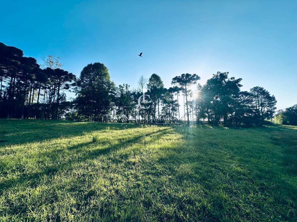 Área à venda em Piraquara, Vila Fuck, 20000m² - Emanuel Camargo - Há mais de 20 anos no Mercado Imobiliário CNPJ 55.103.630/0001-83