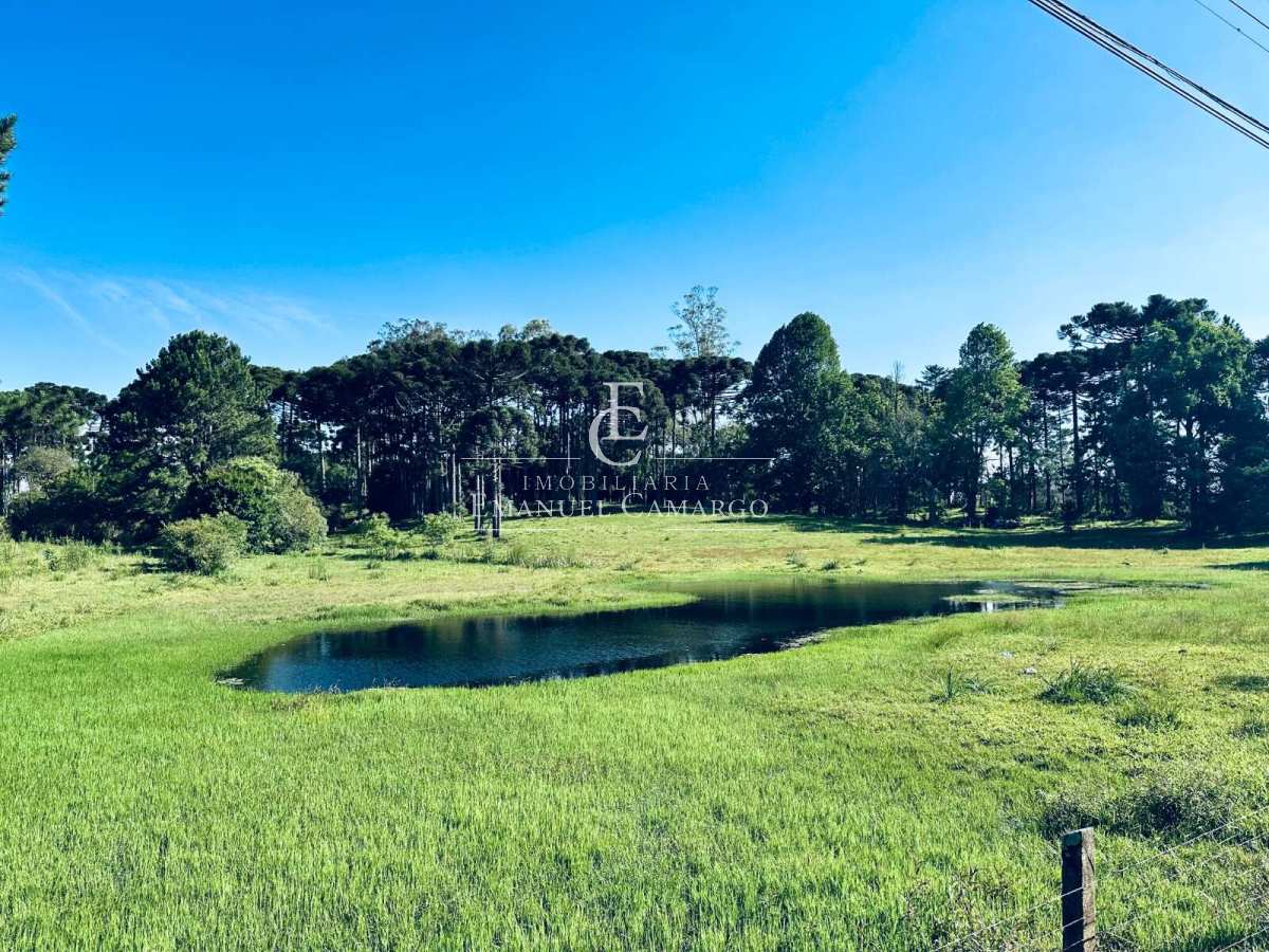 Área à venda em Piraquara, Vila Fuck, 20000m² - Emanuel Camargo - Há mais de 20 anos no Mercado Imobiliário CNPJ 55.103.630/0001-83