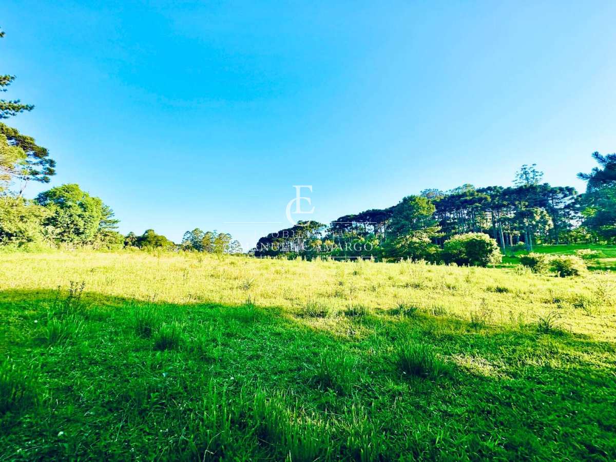 Área à venda em Piraquara, Vila Fuck, 20000m² - Emanuel Camargo - Há mais de 20 anos no Mercado Imobiliário CNPJ 55.103.630/0001-83