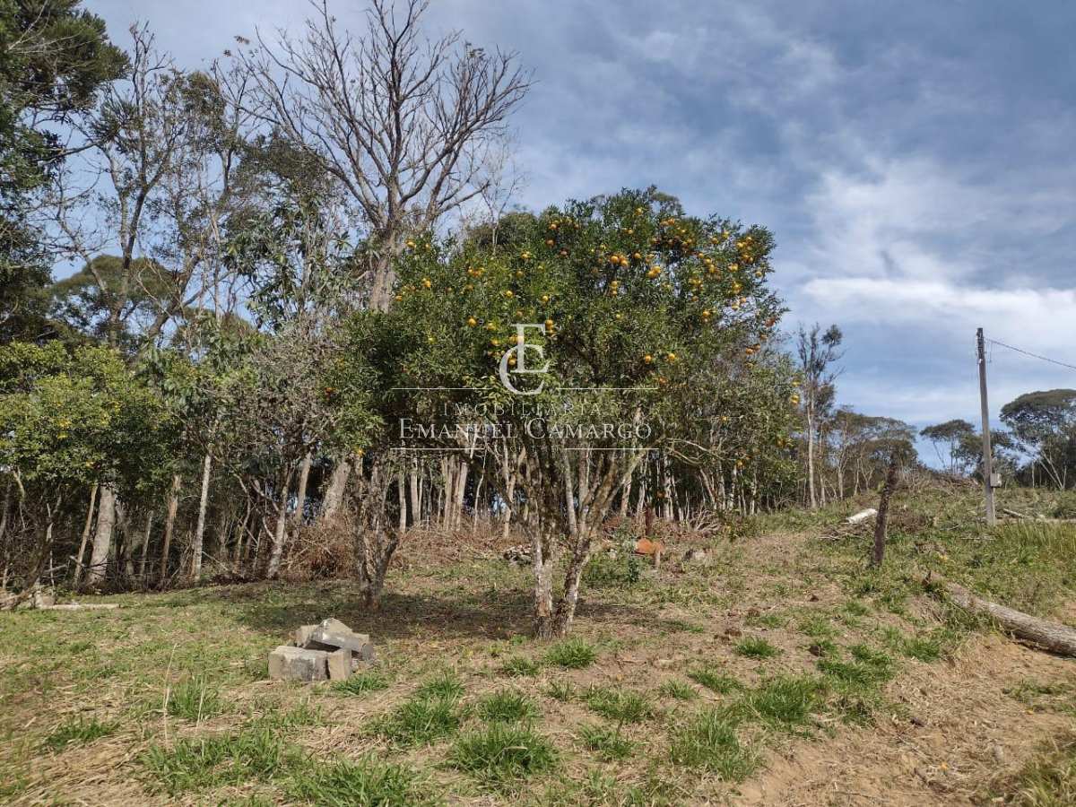 Área à venda em Quatro Barras, 48000m² - Emanuel Camargo - Há mais de 20 anos no Mercado Imobiliário CNPJ 55.103.630/0001-83