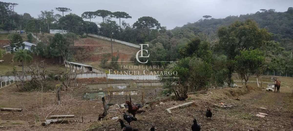 Área à venda em São José dos Pinhais 10000m² - Emanuel Camargo - Há mais de 20 anos no Mercado Imobiliário CNPJ 55.103.630/0001-83