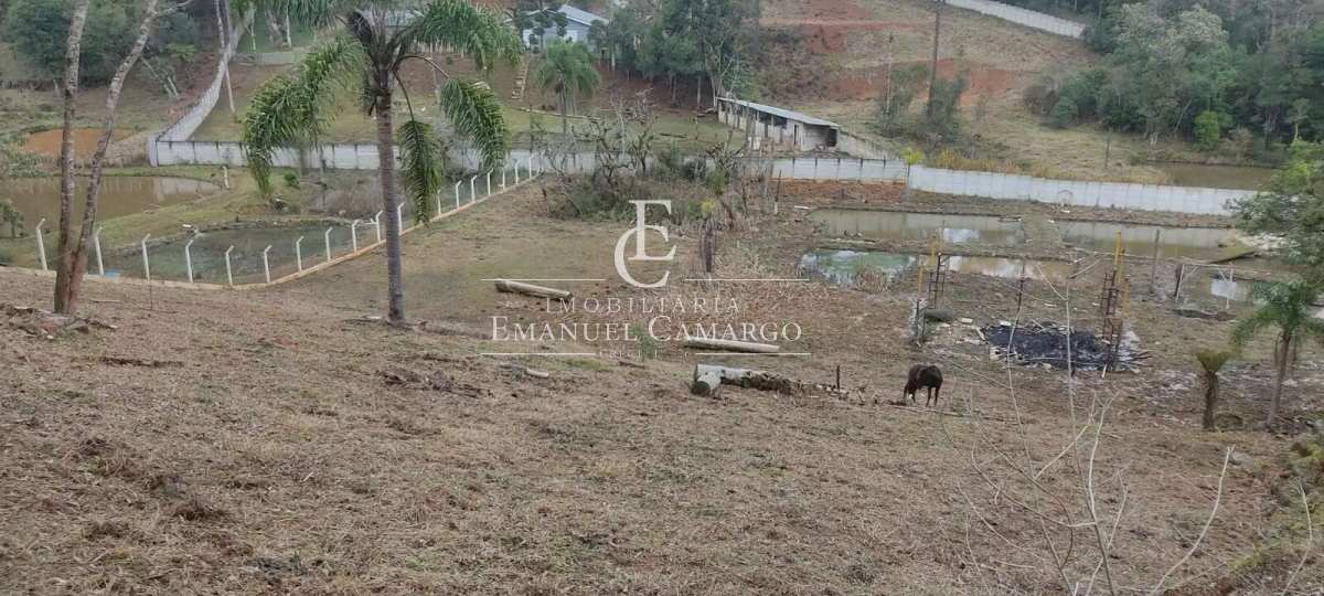 Área à venda em São José dos Pinhais 10000m² - Emanuel Camargo - Há mais de 20 anos no Mercado Imobiliário CNPJ 55.103.630/0001-83