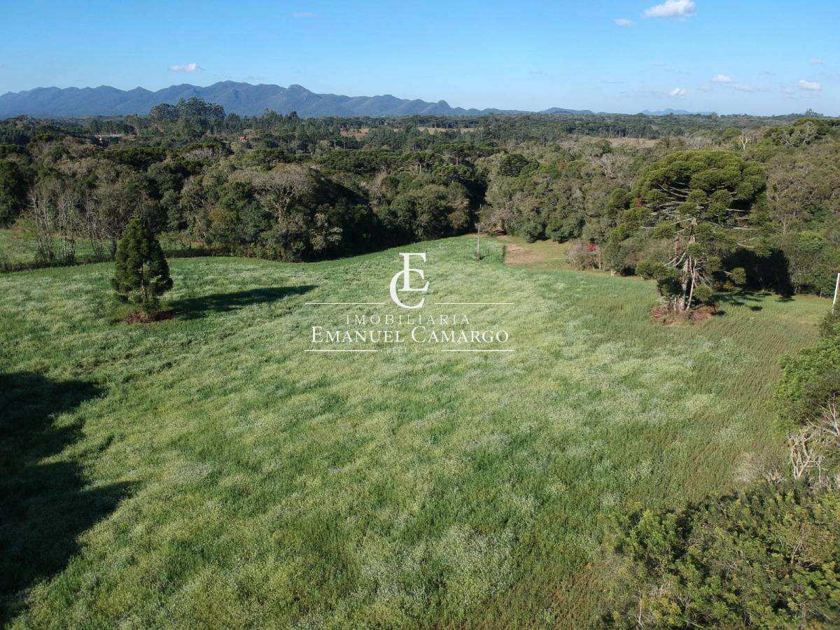Área à venda em Piraquara, Planta Laranjeiras, 20000m² - Emanuel Camargo - Há mais de 20 anos no Mercado Imobiliário CNPJ 55.103.630/0001-83
