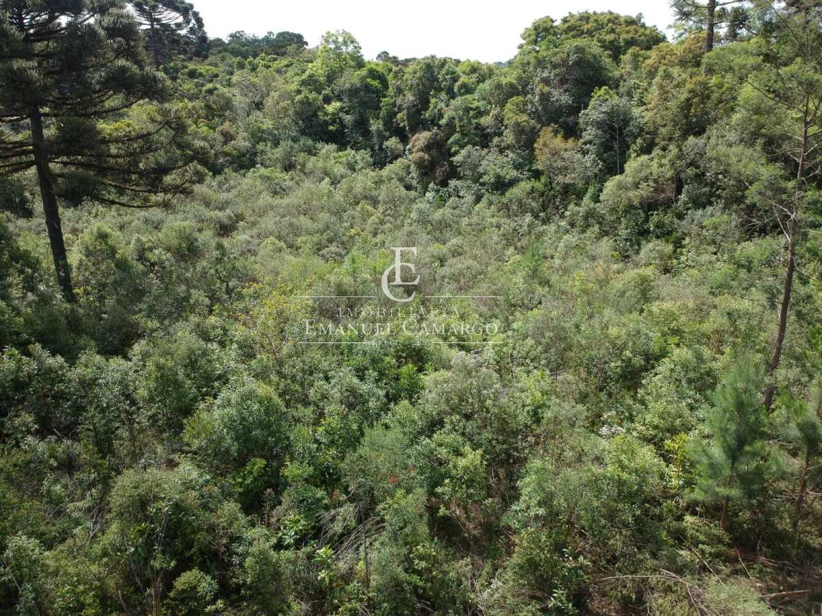 Chácara à venda em Piraquara, Capoeira dos Dinos, 24000m² - Emanuel Camargo - Há mais de 20 anos no Mercado Imobiliário CNPJ 55.103.630/0001-83