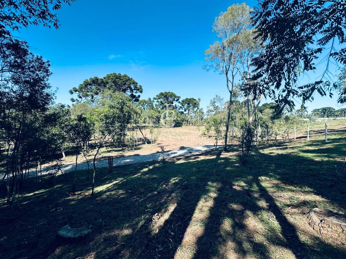 Chácara à venda em Piraquara, Planta Granjas Eldorado, 5203m²