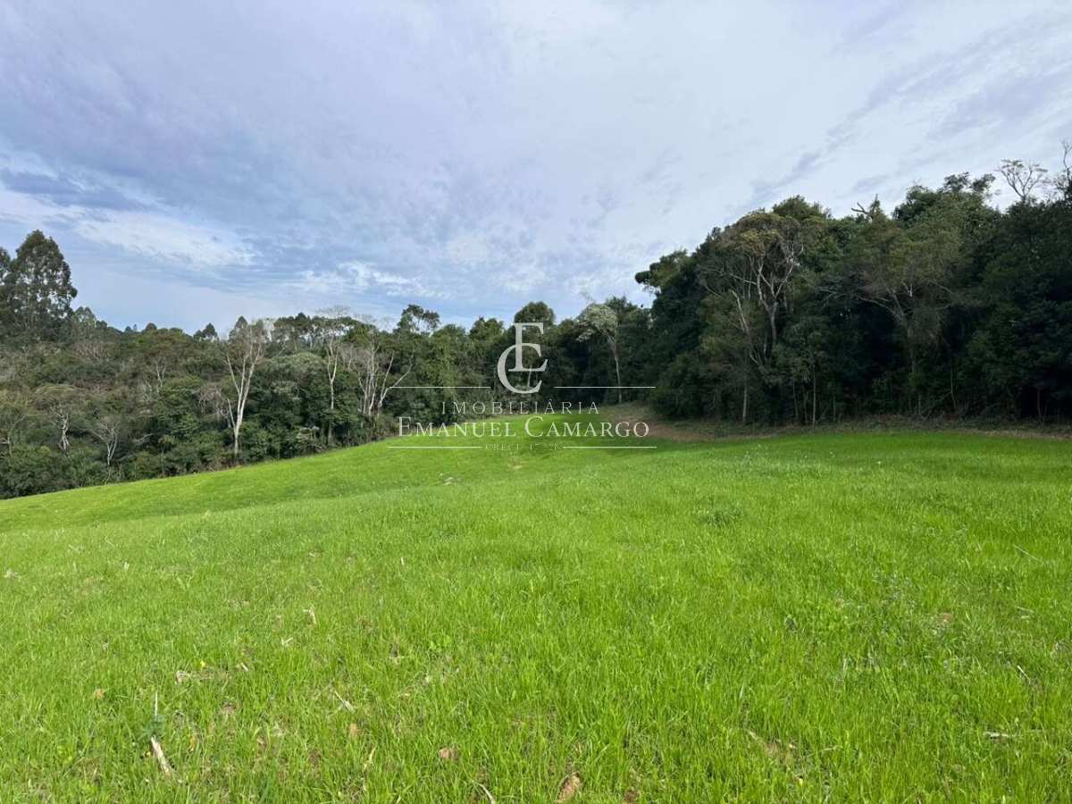 Chácara à venda em Quatro Barras, Palmitalzinho, 20000m² - Emanuel Camargo - Há mais de 20 anos no Mercado Imobiliário CNPJ 55.103.630/0001-83