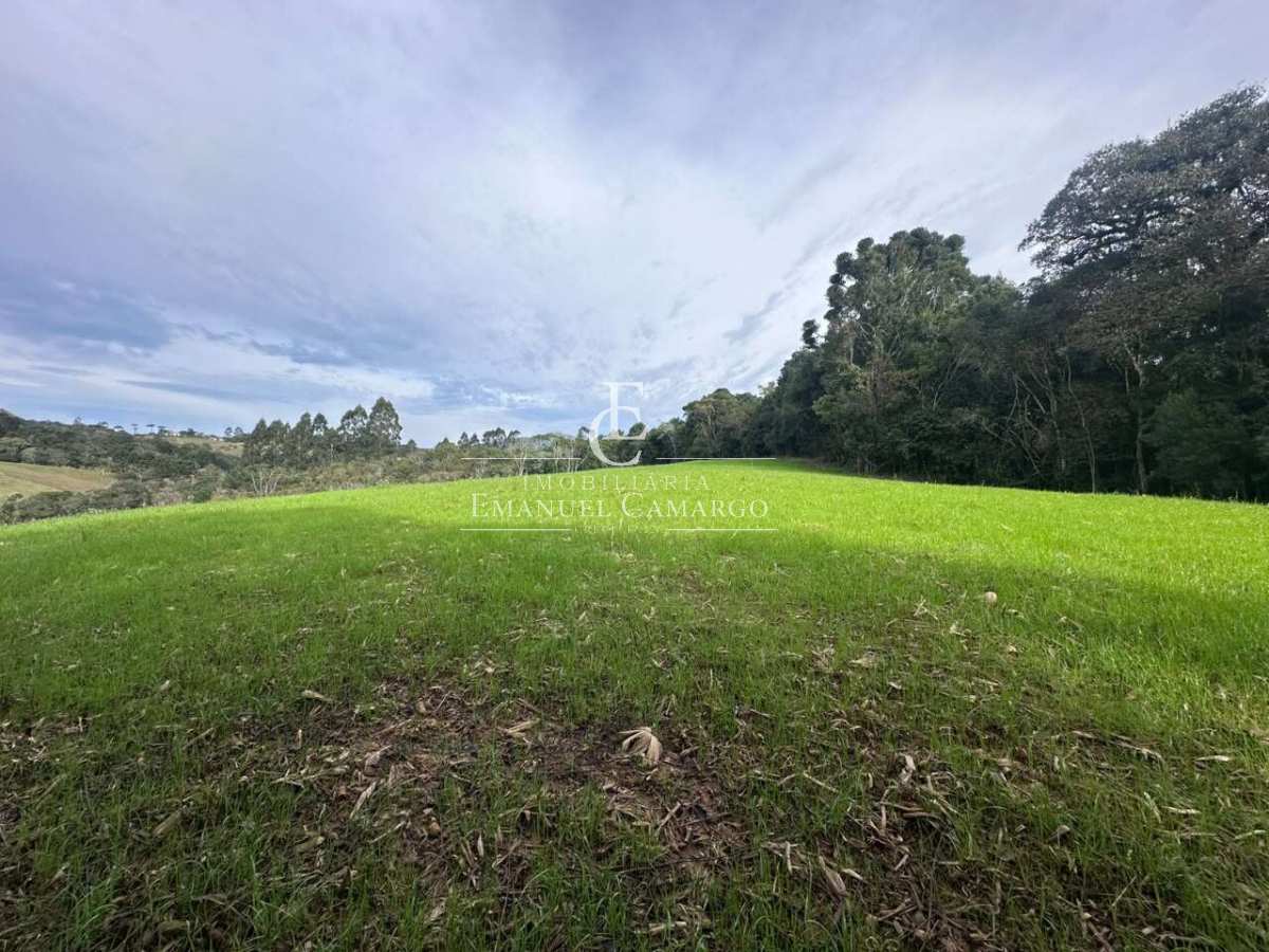 Chácara à venda em Quatro Barras, Palmitalzinho, 20000m² - Emanuel Camargo - Há mais de 20 anos no Mercado Imobiliário CNPJ 55.103.630/0001-83