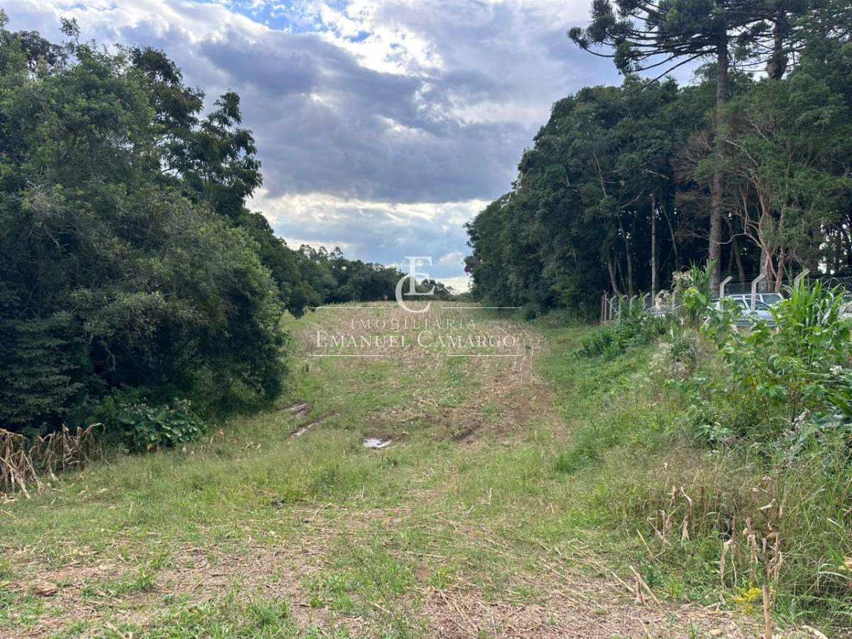 Chácara à venda em Quatro Barras, Palmitalzinho, 20000m² - Emanuel Camargo - Há mais de 20 anos no Mercado Imobiliário CNPJ 55.103.630/0001-83