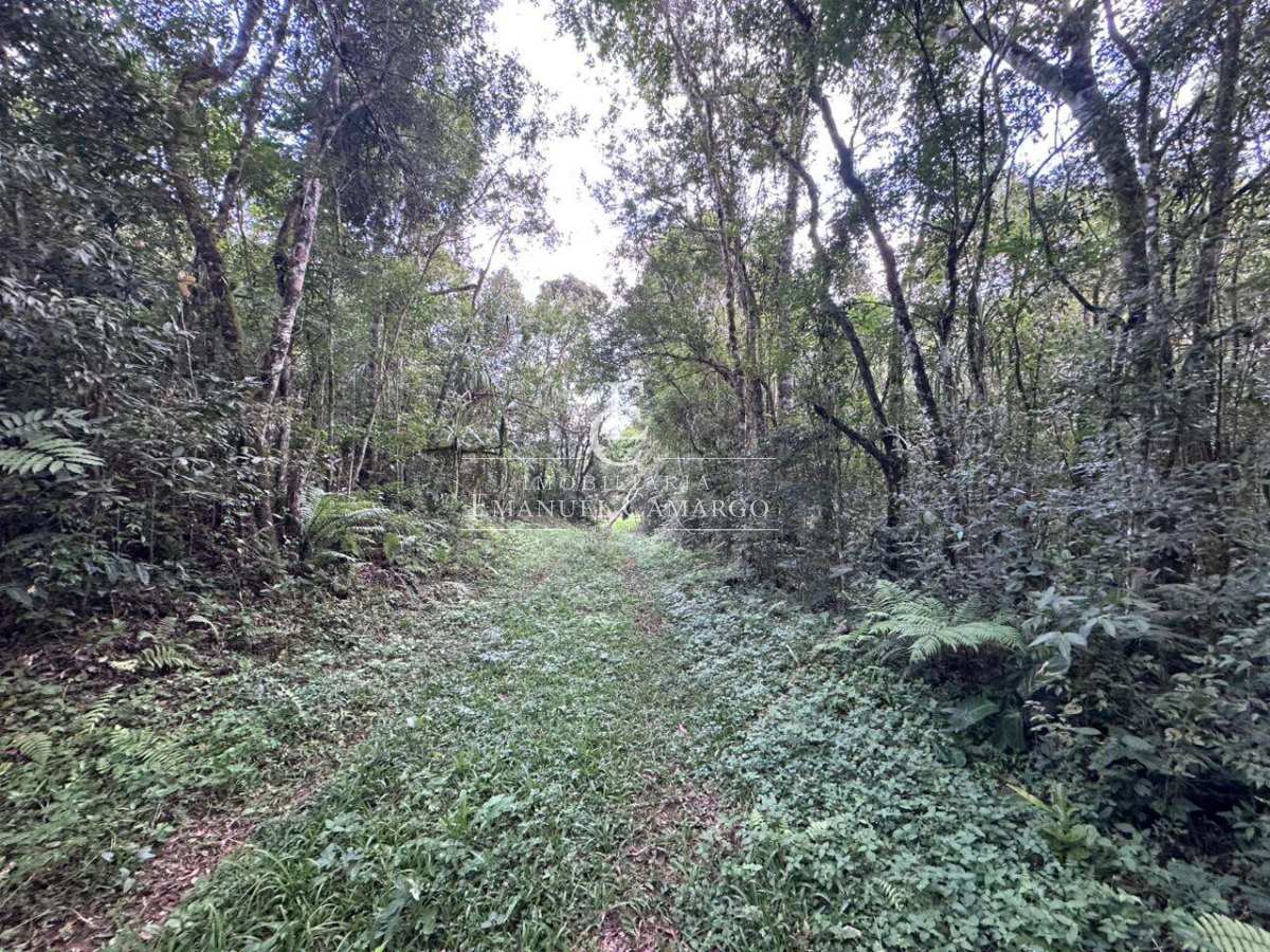 Chácara à venda em Quatro Barras, Palmitalzinho, 20000m² - Emanuel Camargo - Há mais de 20 anos no Mercado Imobiliário CNPJ 55.103.630/0001-83