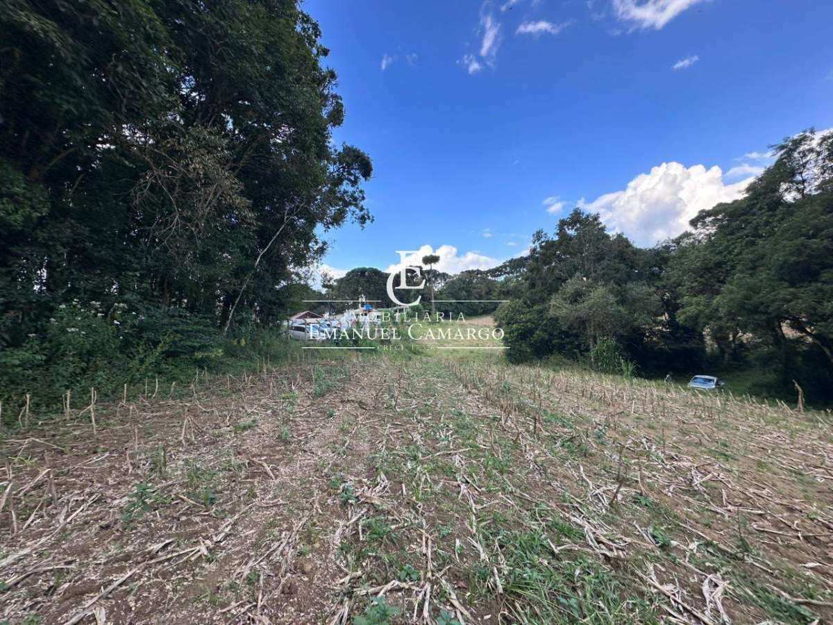 Chácara à venda em Quatro Barras, PALMITALZINHO, 20000m² - Emanuel Camargo - Há mais de 20 anos no Mercado Imobiliário CNPJ 55.103.630/0001-83
