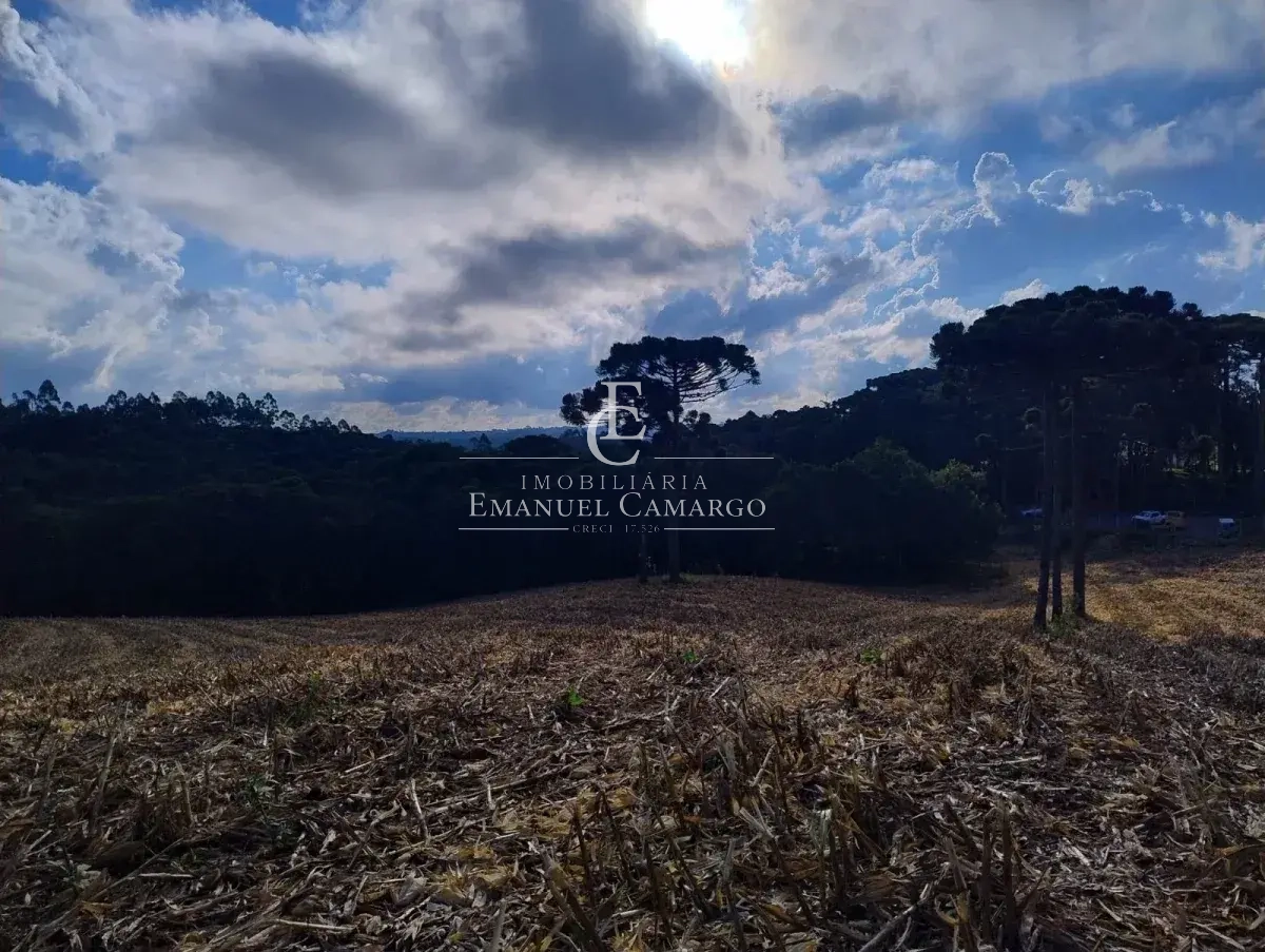 Chácara à venda em Quatro Barras, PALMITALZINHO, 20000m²