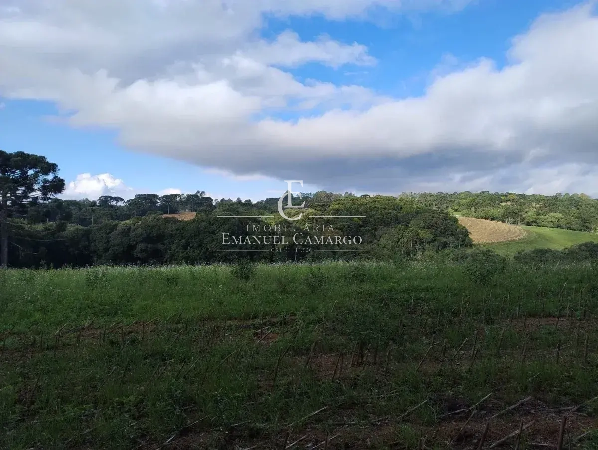 Chácara à venda em Quatro Barras, PALMITALZINHO, 20000m² - Emanuel Camargo - Há mais de 20 anos no Mercado Imobiliário CNPJ 55.103.630/0001-83