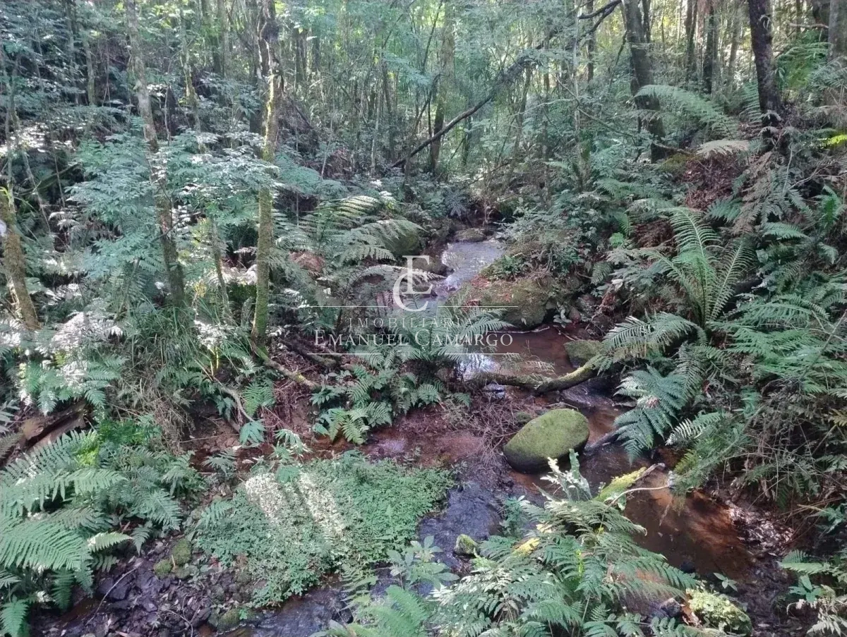 Chácara à venda em Quatro Barras, PALMITALZINHO, 20000m² - Emanuel Camargo - Há mais de 20 anos no Mercado Imobiliário CNPJ 55.103.630/0001-83