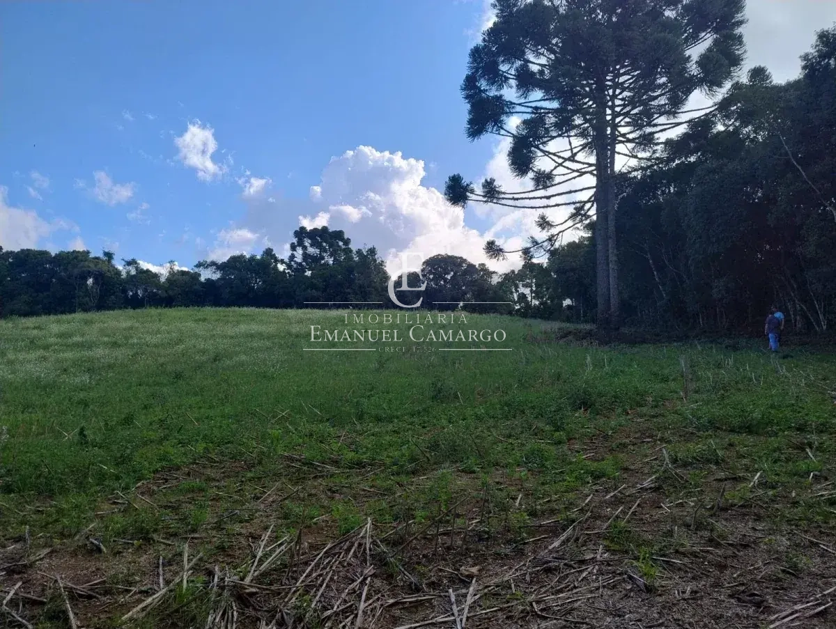 Chácara à venda em Quatro Barras, PALMITALZINHO, 20000m² - Emanuel Camargo - Há mais de 20 anos no Mercado Imobiliário CNPJ 55.103.630/0001-83
