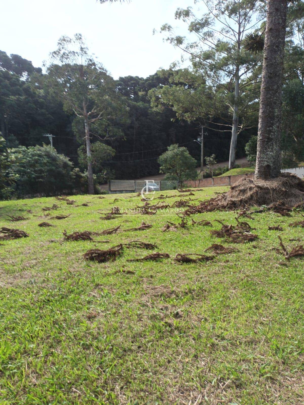 Chácara com 3 quartos, 20000m², à venda - Emanuel Camargo - Há mais de 20 anos no Mercado Imobiliário CNPJ 55.103.630/0001-83