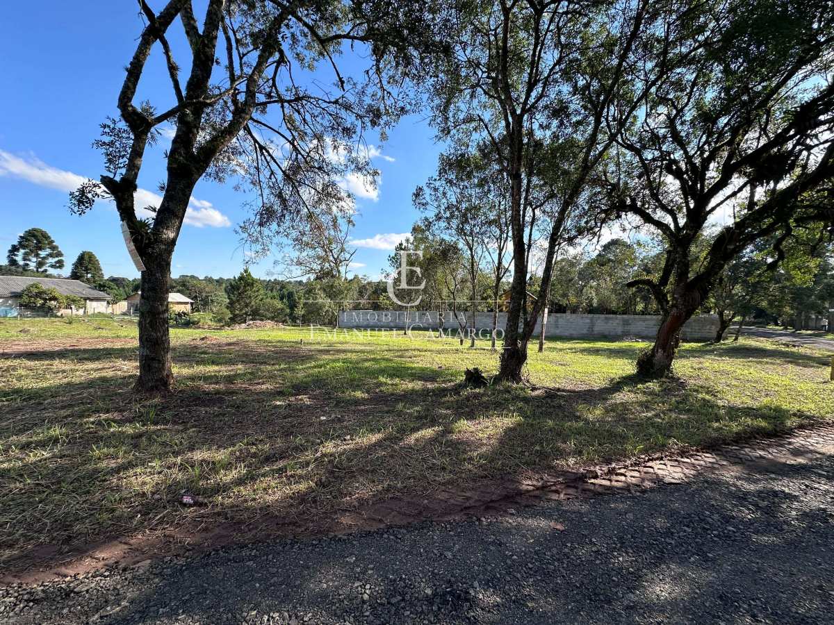 Terreno à venda em Piraquara, Borda do Campo, 428m² - Emanuel Camargo - Há mais de 20 anos no Mercado Imobiliário CNPJ 55.103.630/0001-83
