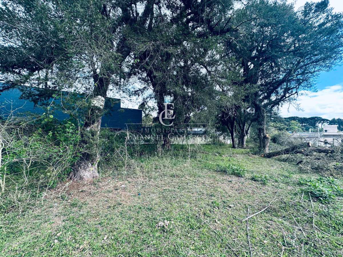 Terreno à venda em Piraquara, Bairro Trianon, 507m²