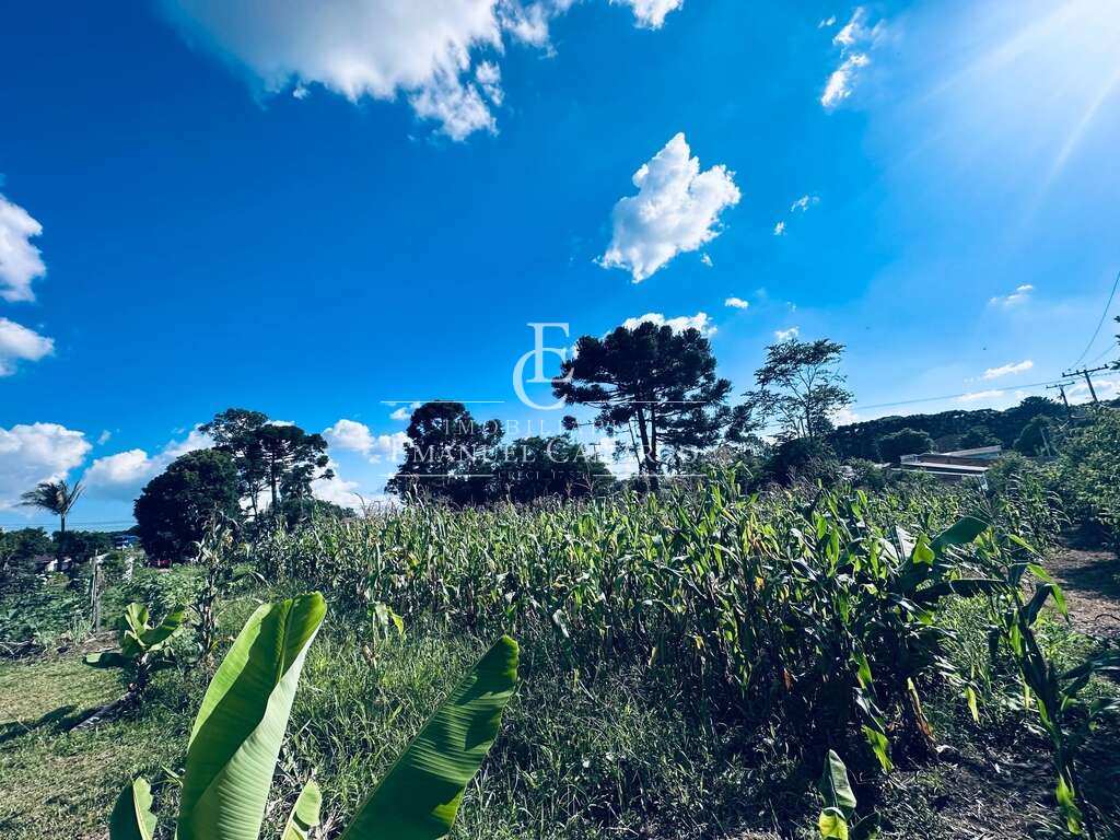 Terreno à venda em Piraquara, Jardim dos Estados 1, 455m² - Emanuel Camargo - Há mais de 20 anos no Mercado Imobiliário CNPJ 55.103.630/0001-83
