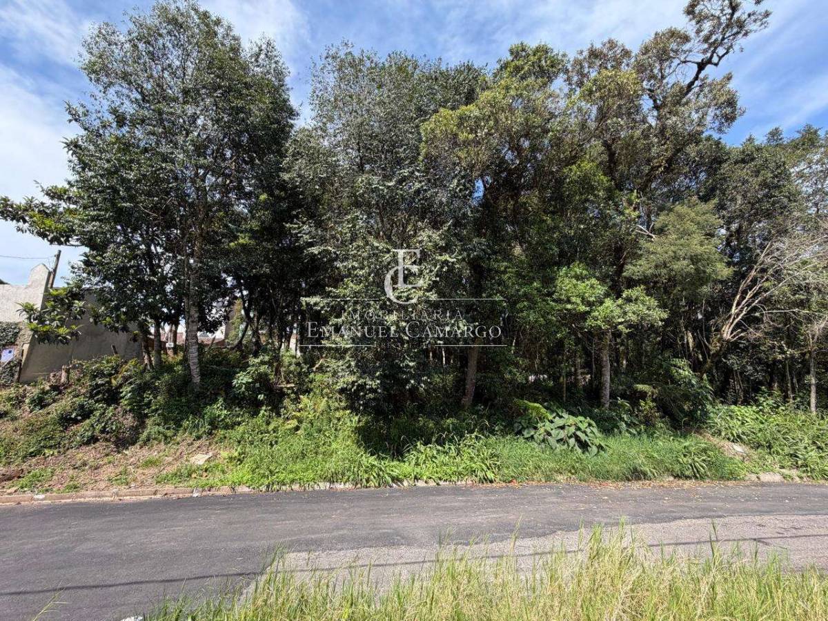Terreno à venda em Piraquara, Planta Cruzeiro, 342m² - Emanuel Camargo - Há mais de 20 anos no Mercado Imobiliário CNPJ 55.103.630/0001-83