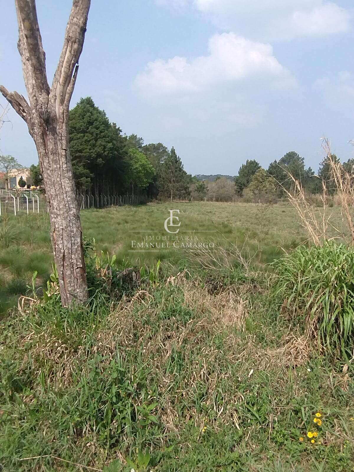 Terreno à venda em Piraquara, Planta Deodoro, 504m² - Emanuel Camargo - Há mais de 20 anos no Mercado Imobiliário CNPJ 55.103.630/0001-83
