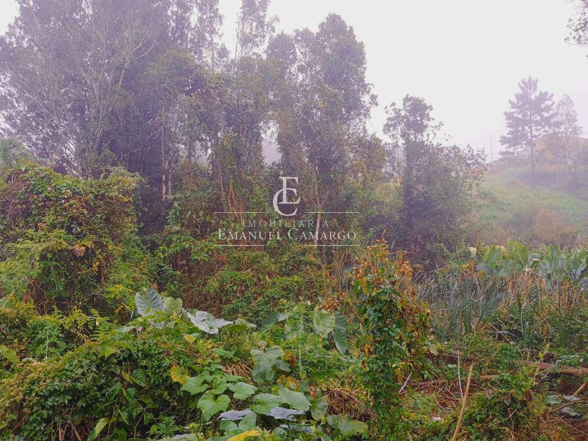 Terreno à venda em Piraquara, Planta Deodoro, 1029m² - Emanuel Camargo - Há mais de 20 anos no Mercado Imobiliário CNPJ 55.103.630/0001-83