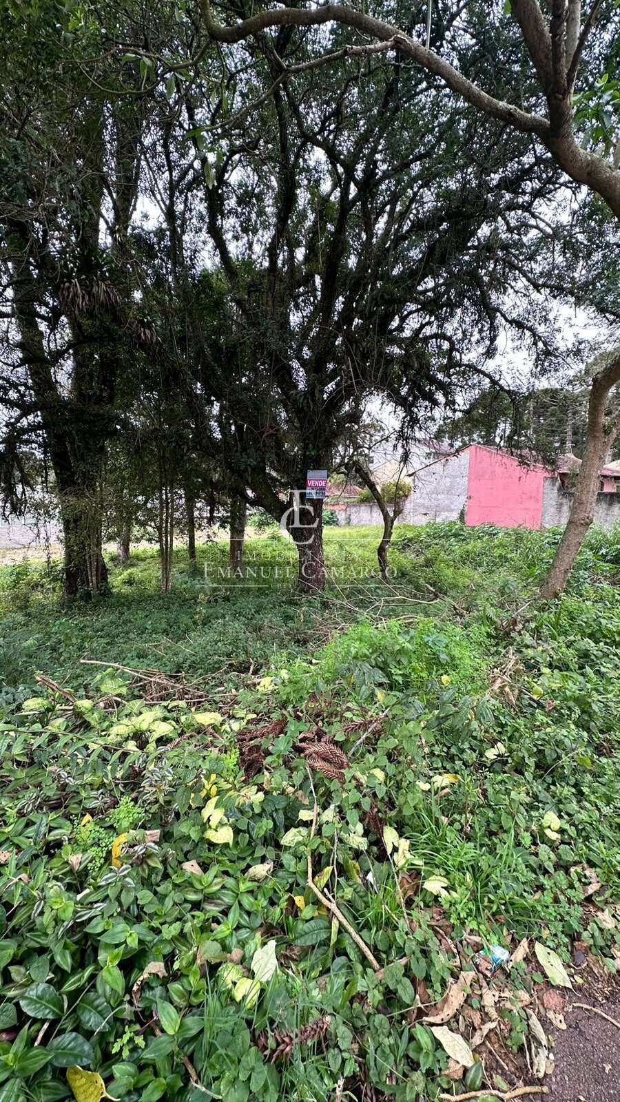 Terrenos à venda em Piraquara - Emanuel Camargo - Há mais de 20 anos no Mercado Imobiliário CNPJ 55.103.630/0001-83