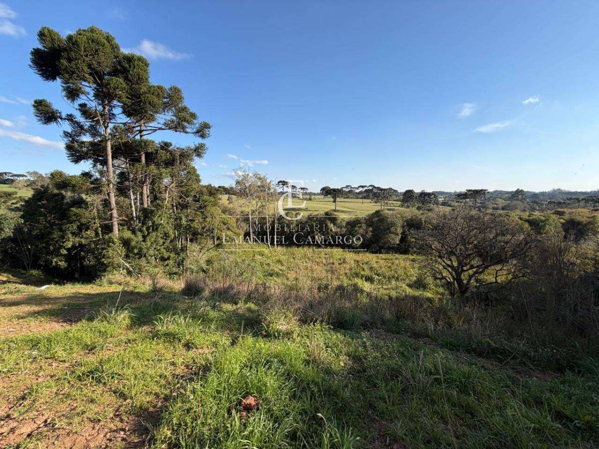 Terreno à venda em Piraquara, Vila Santa Maria, 1463,97m² - Emanuel Camargo - Há mais de 20 anos no Mercado Imobiliário CNPJ 55.103.630/0001-83